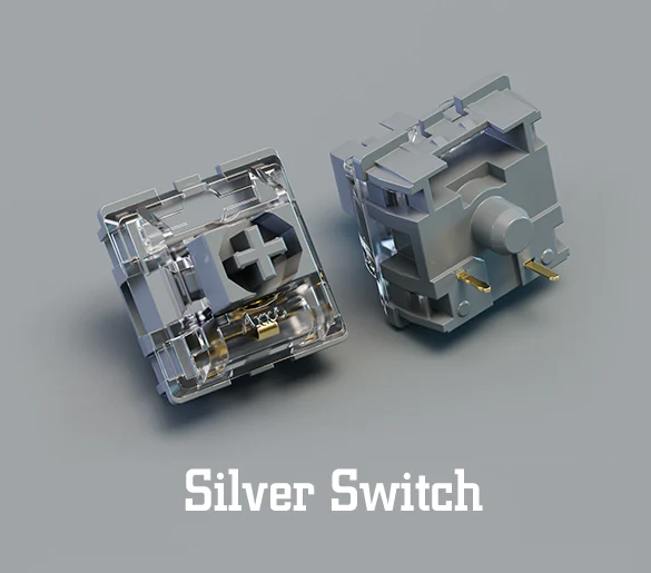 silver switch