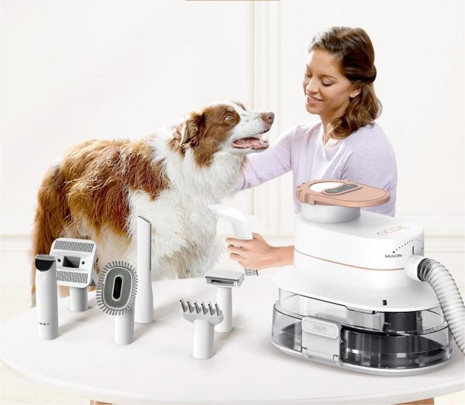 Best Pet Grooming Vacuum