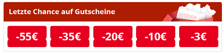 Einkaufsleitfaden für den Mega Sale im März 2025