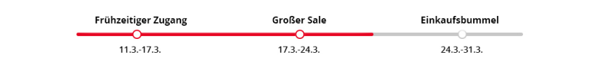 Globaler Sparalarm: Leitfaden zum Mega-Sale im März 2025