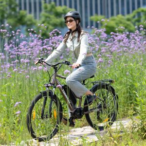 Touroll MA2 E-Bike: EUヒルズを征服します &#038; 100km範囲 | €50 オフ