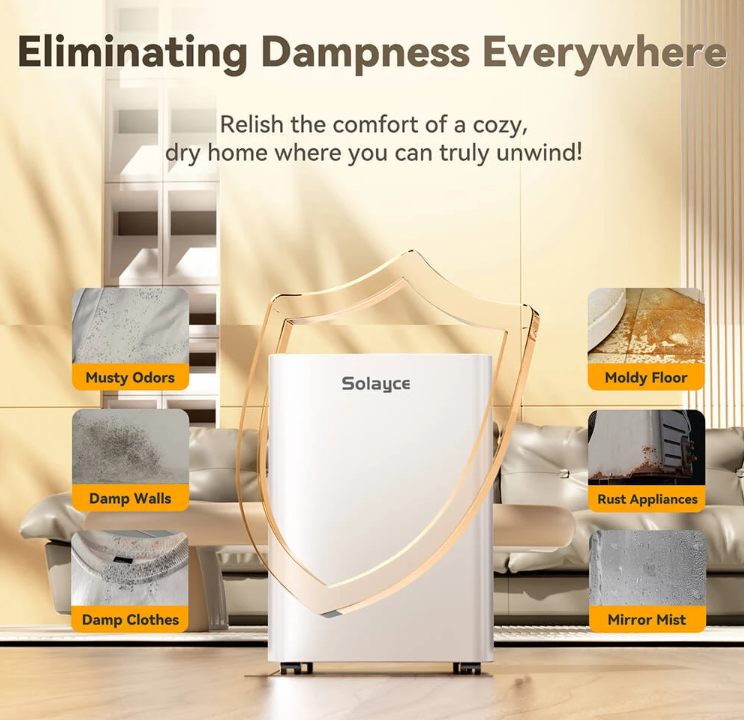 Top 5 Home Cleaning & Moisture-Control Essentials | Clearance Sale Alert! Grab Exclusive Savings Now!